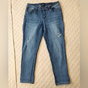 Earl Jeans Skinny Ankle Distressed Cropped Stretch